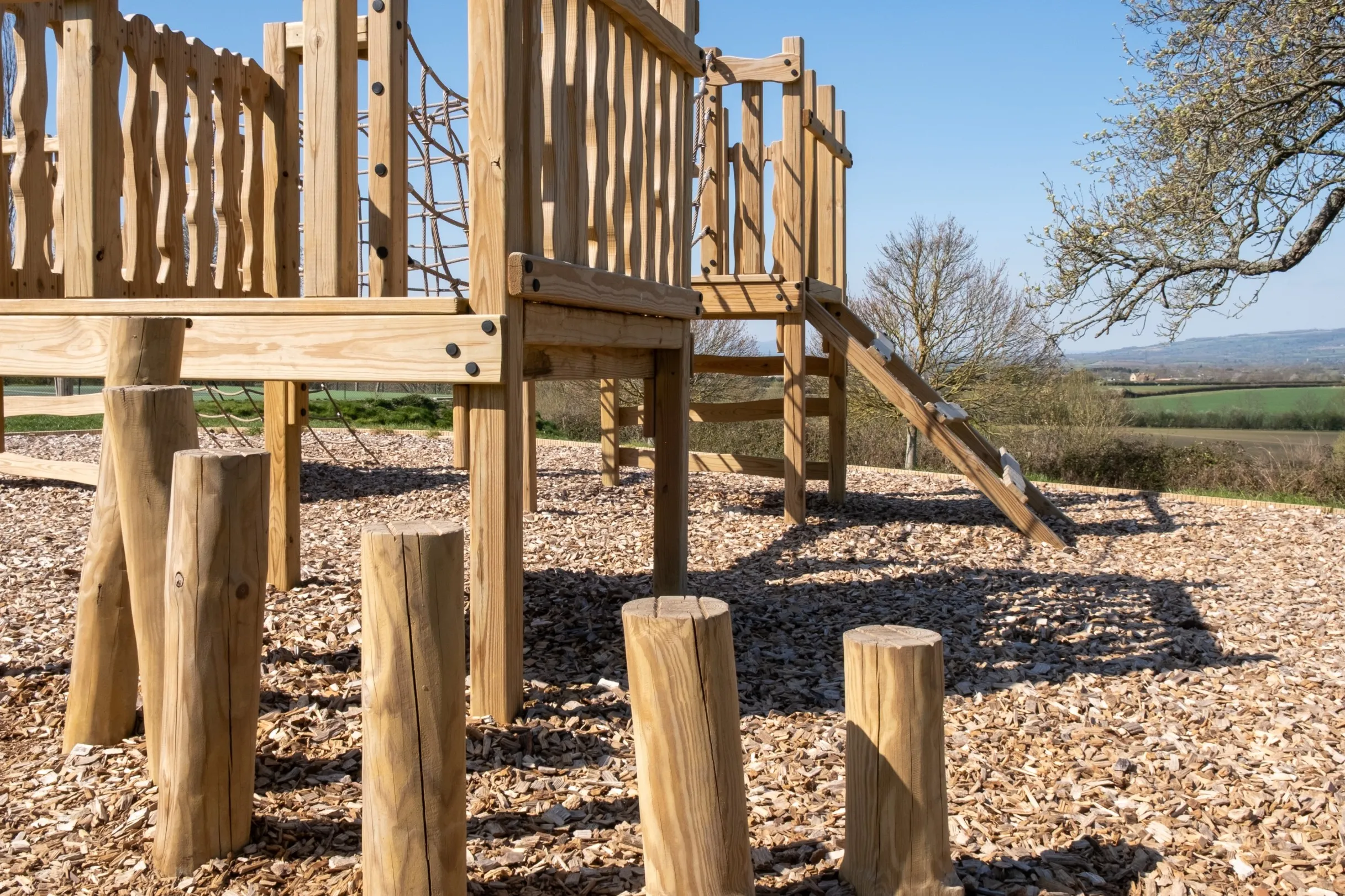 Shakes & checks image